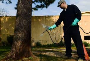 person sparaying pests